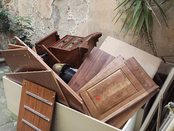 Best Demolition Debris Removal  in Lake Leann, MI